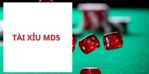 Tài Xỉu MD5 - Game Đổi Thưởng Xanh Chín Tại Nhà Cái Kubet